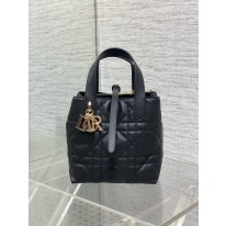 디올 여자가방